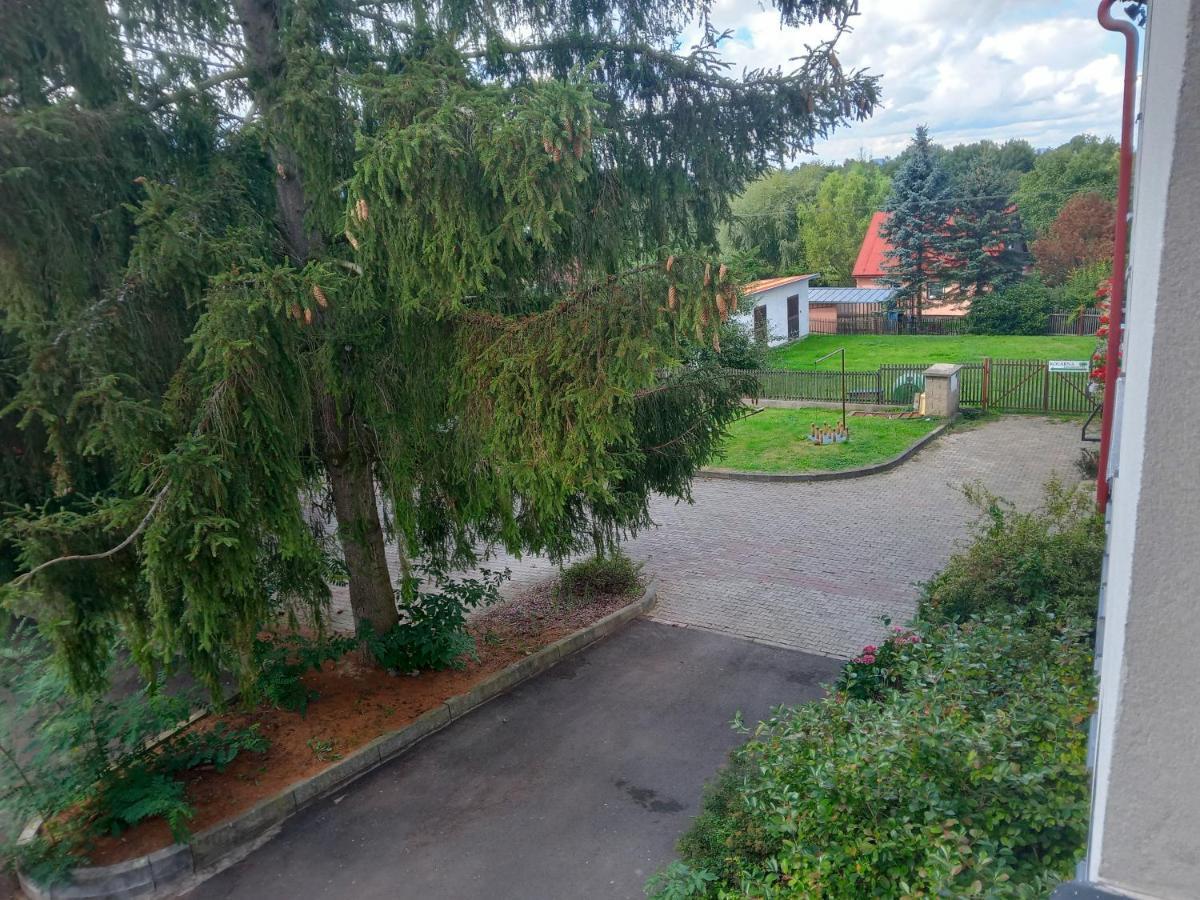 Hotel U Zeleneho Stromu - Zum Gruenen Baum Hrensko Exterior photo